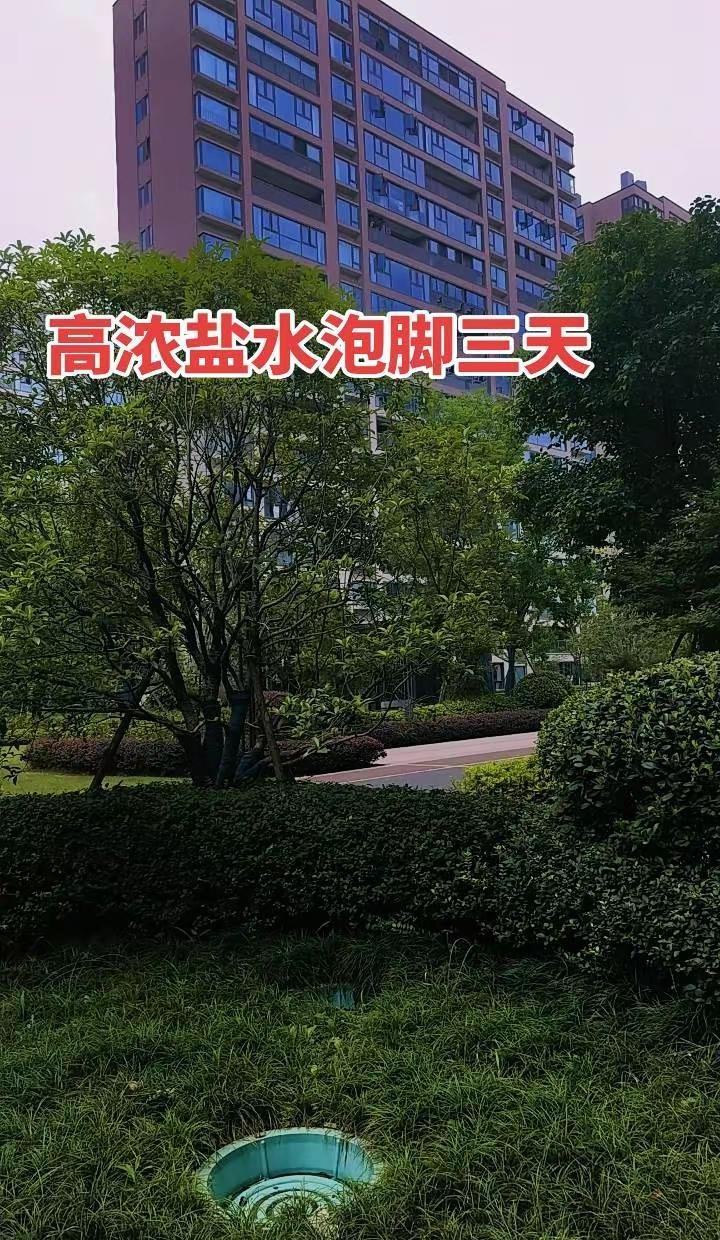 今天真的太激动了！吴宜泽一路过关斩将，最后绝杀墨菲，直接加冕斯诺克世锦赛首位00