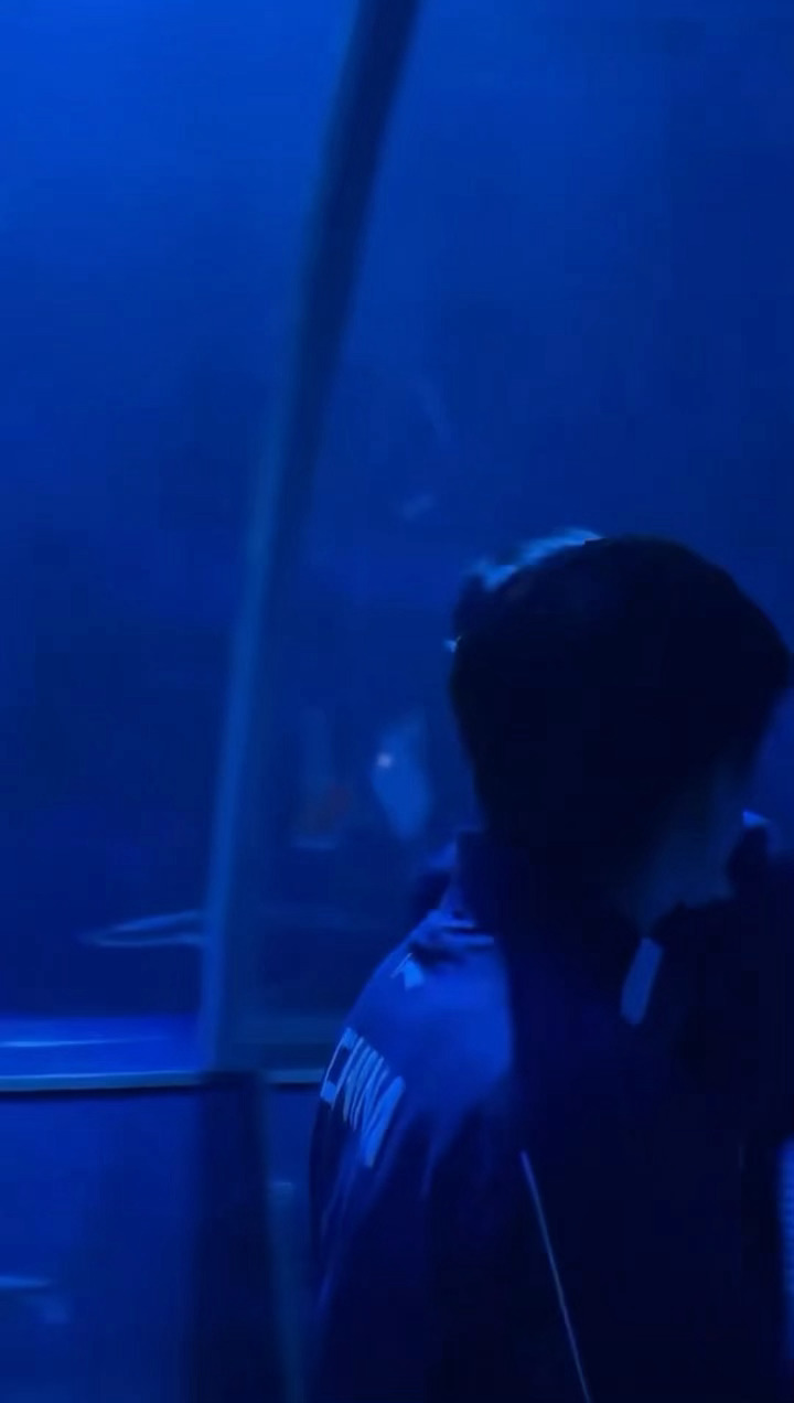 莎莎蛐蛐鲨鱼游得慢