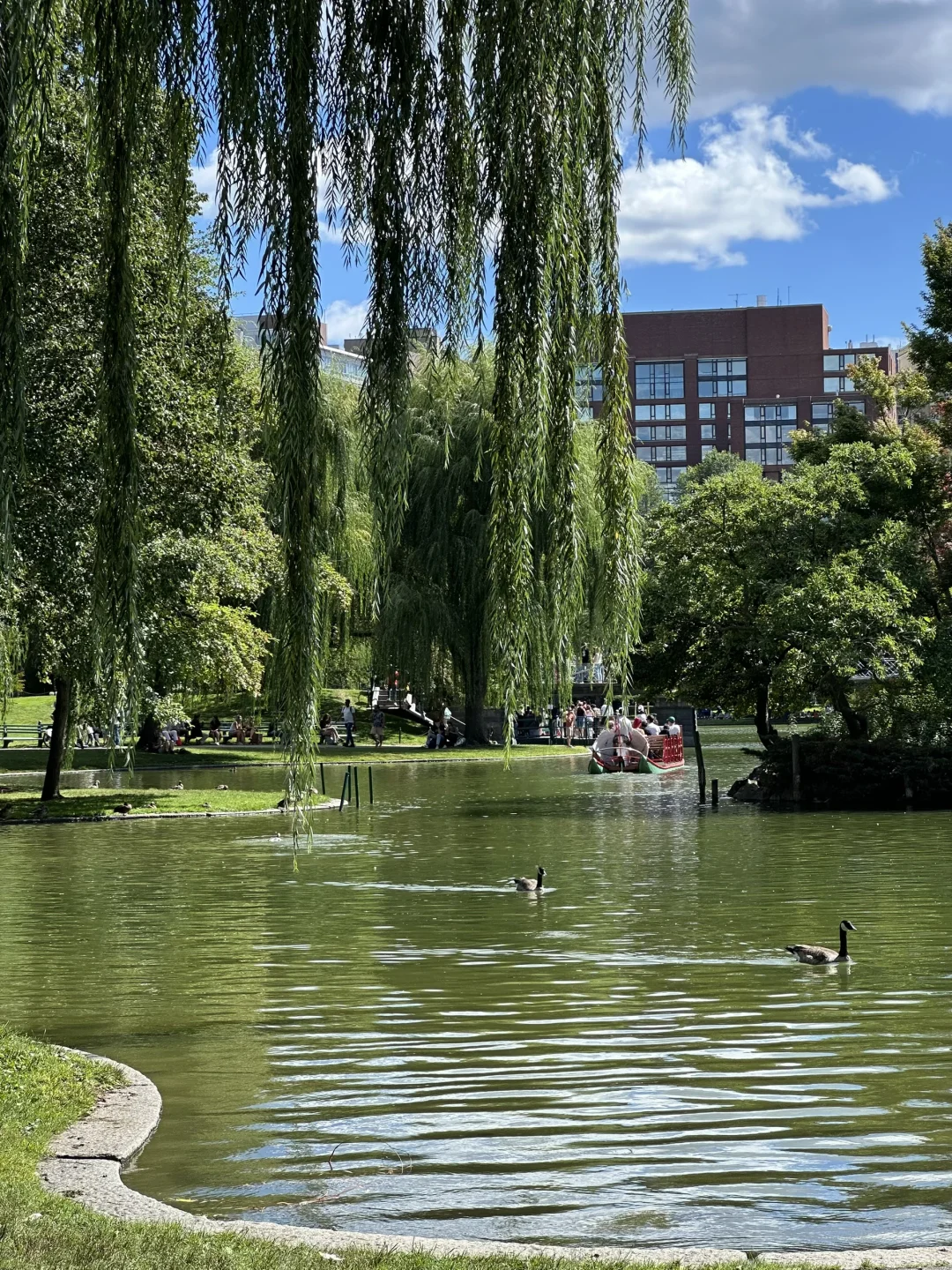 波士顿｜live图的意义｜属于Boston的夏日长梦