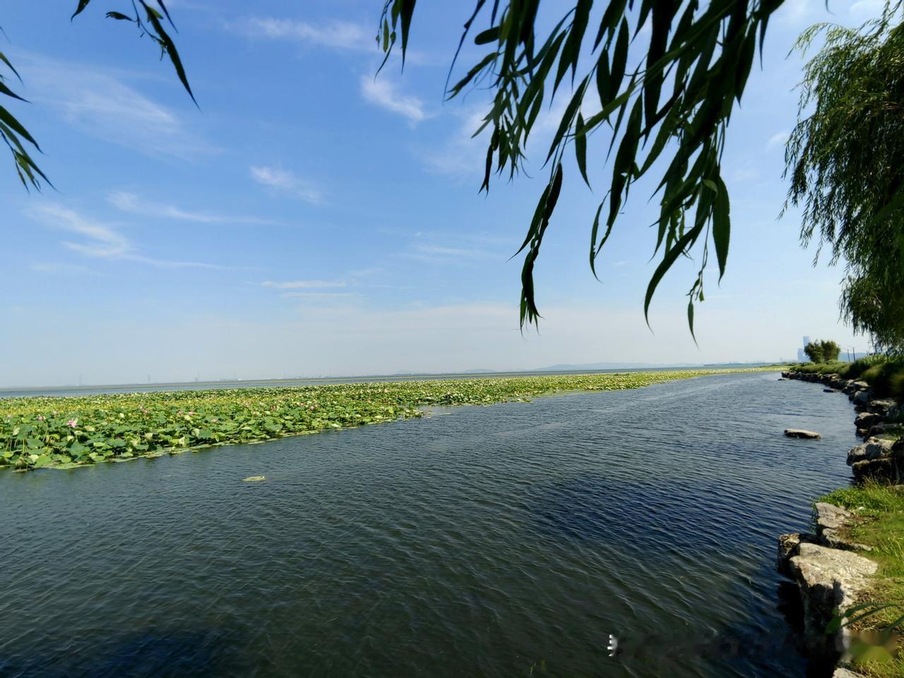 最近随手拍了东太湖的风光照片，那景色美到令人惊叹！
初夏时节的东太湖，宛如《诗经