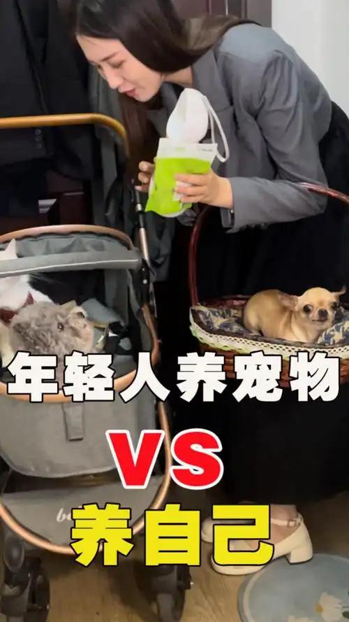 世界怎么啦？年轻人都喜欢养宠物[捂脸][捂脸]
随着时代的变迁，宠物在我们生活中