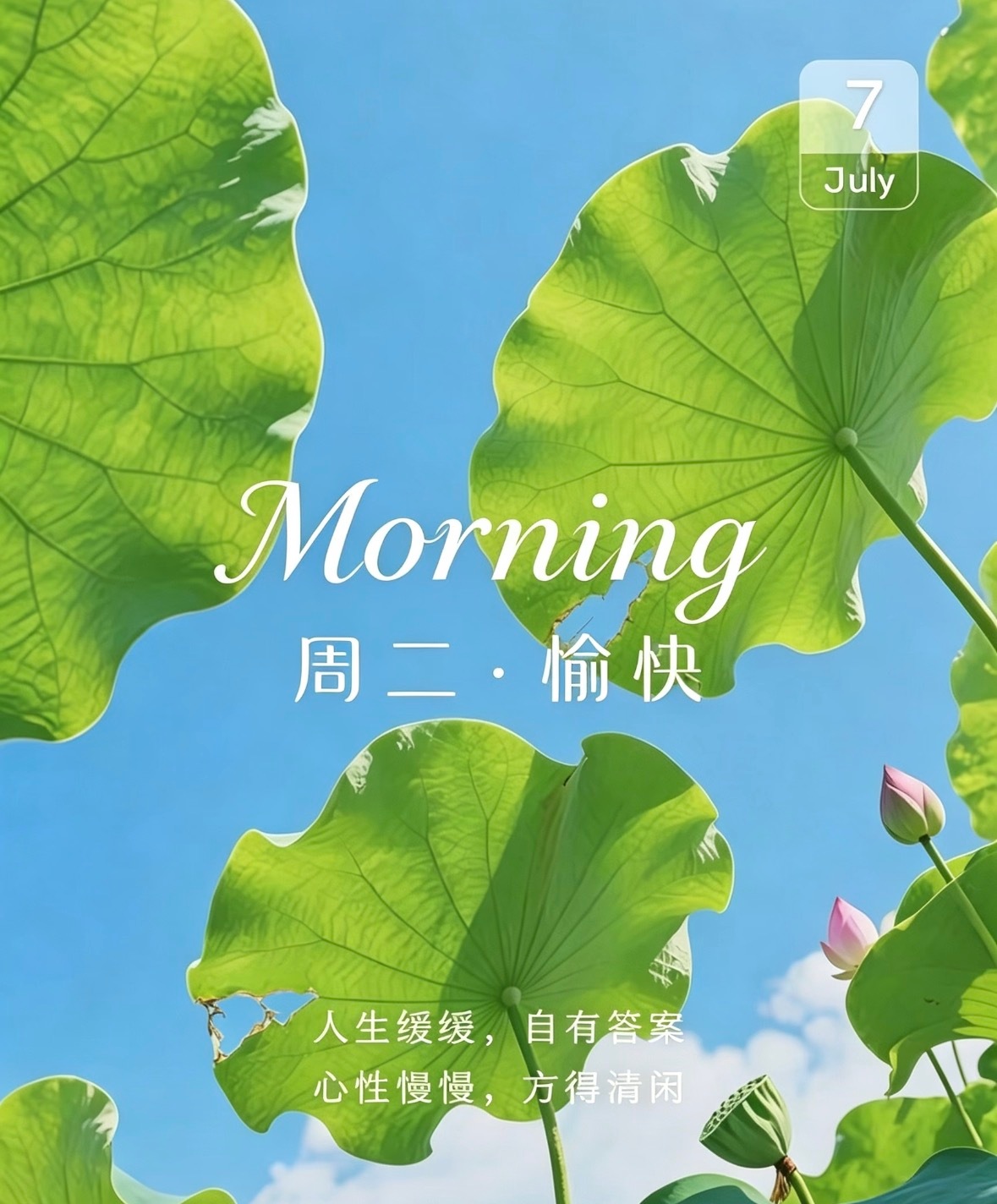 心有方向，脚下自有力量，愿我们都能在琐碎日常里保持热爱，在平凡岁月中绽放光芒。美
