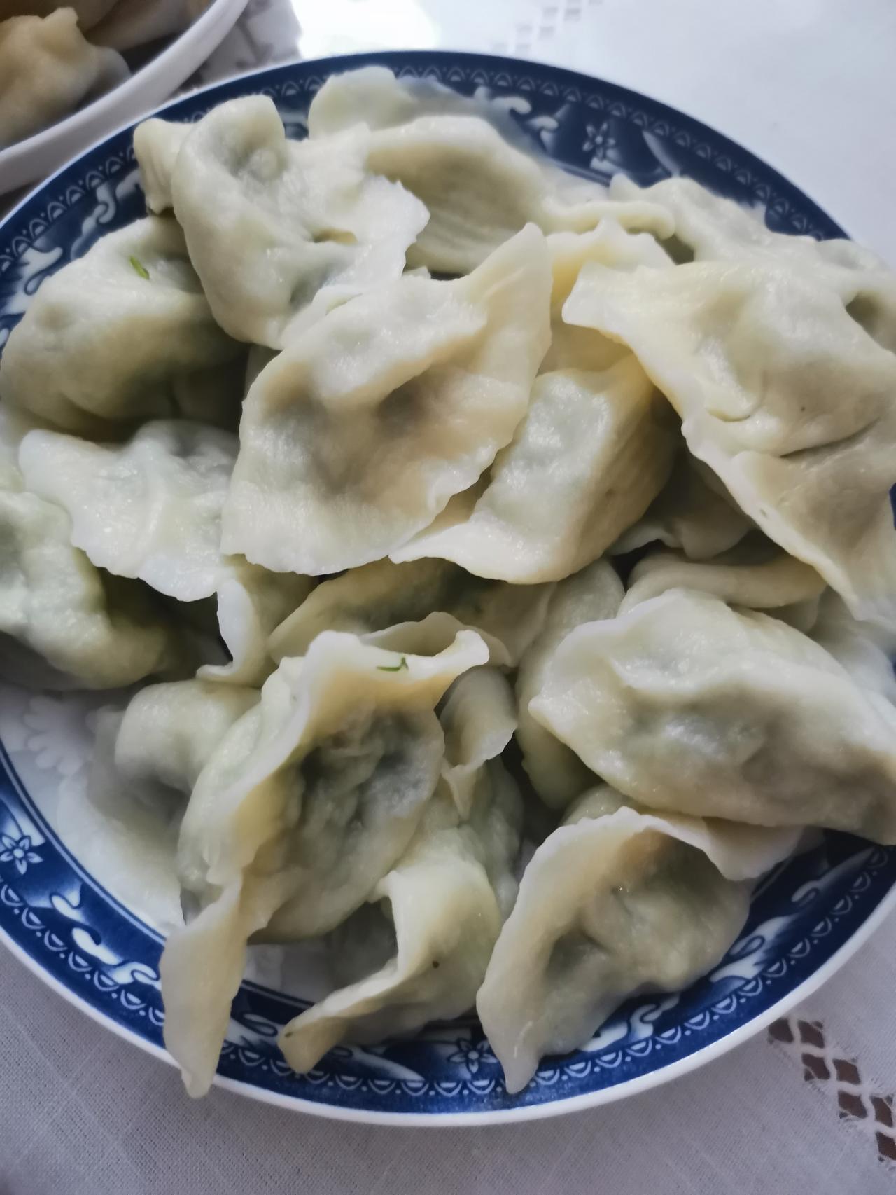 春天的茴香馅饺子真香啊！