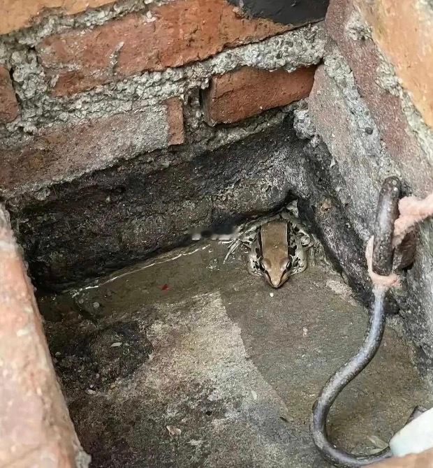 水池没水的时候，看到了它，你说的是啥？ 