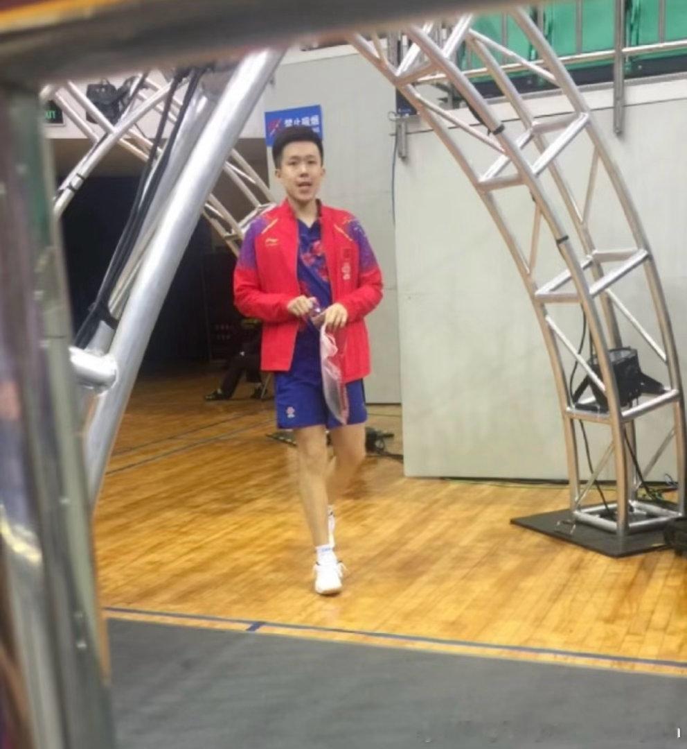捡一张19年的幼头和幼莎王楚钦孙颖莎