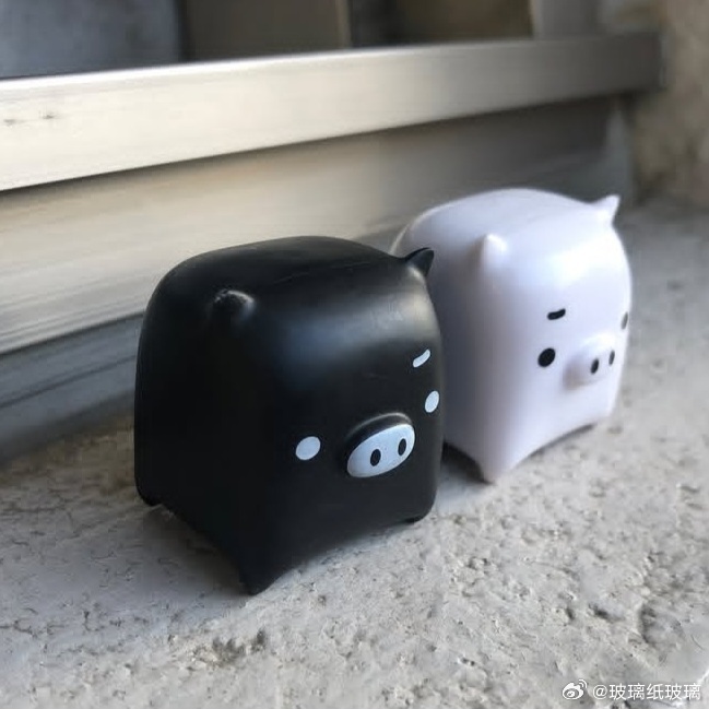 家有小猪两只