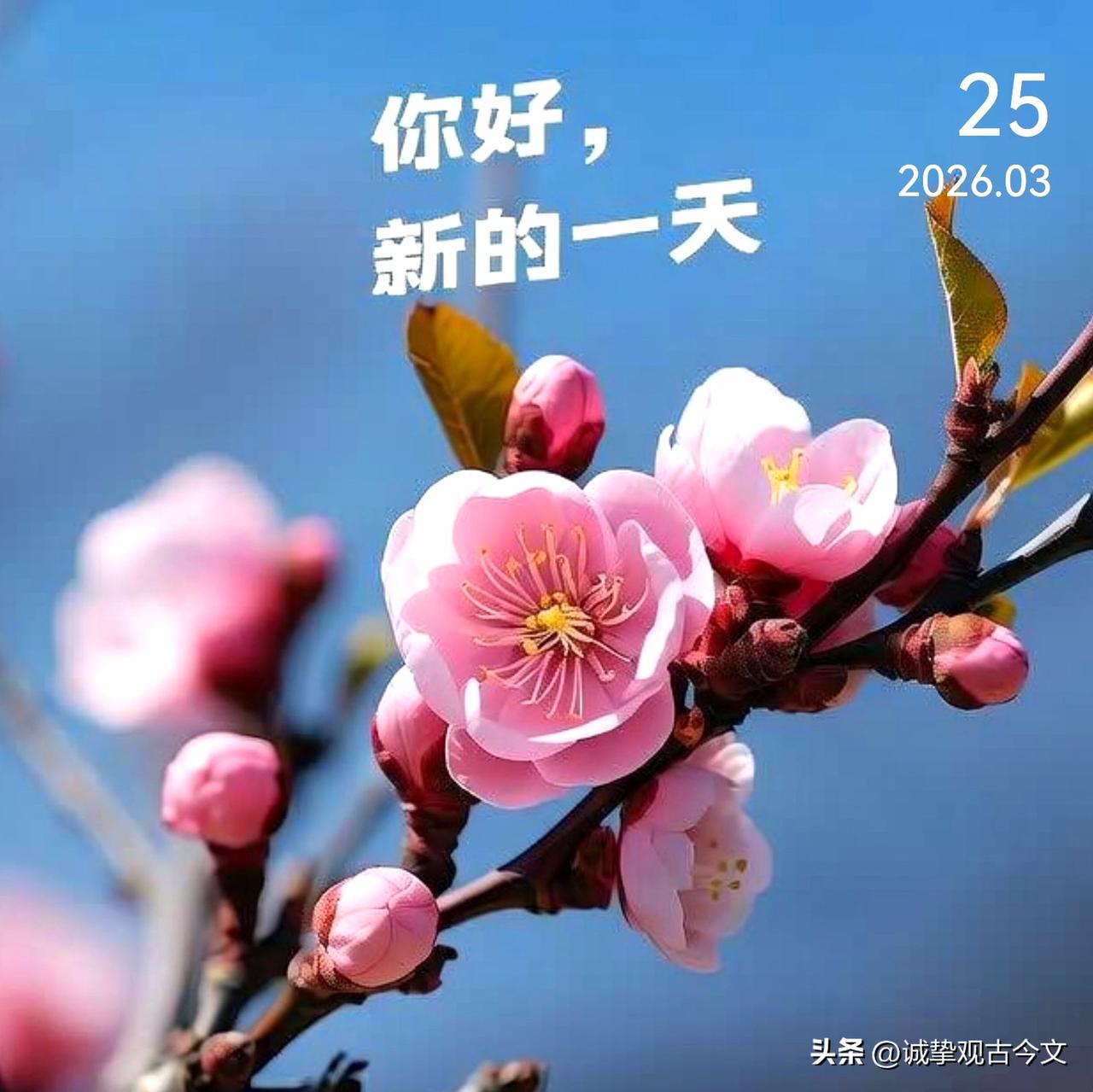 愿你每天醒来，依旧热爱生活，清楚想要什么，并且为之努力，强硬又不失温柔，坚定且从