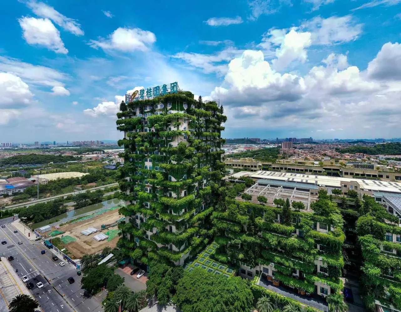 【碧桂园回应16亿港元清盘呈请：坚决反对，重组计划不受影响】
2024年2月28