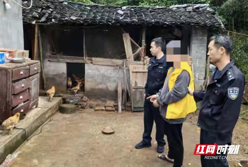 件件有着落！常德民警侦破偷鸡连环案，守护村民烟火安稳
（个人观点仅供参考，无任何