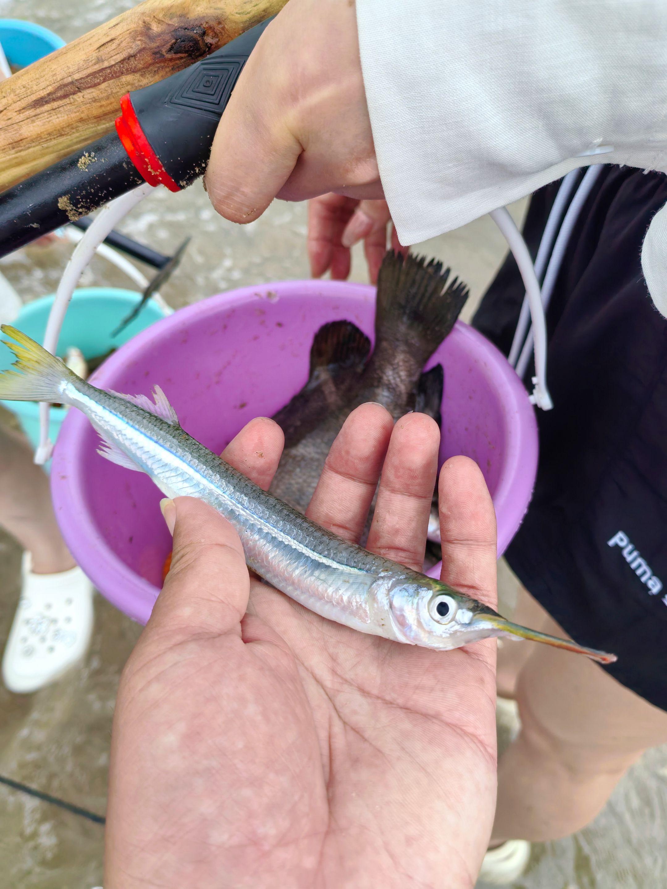 平潭7月赶海集结令！滩涂围网赶海时间表。🏖️ 平潭7月下旬【滩涂围网...