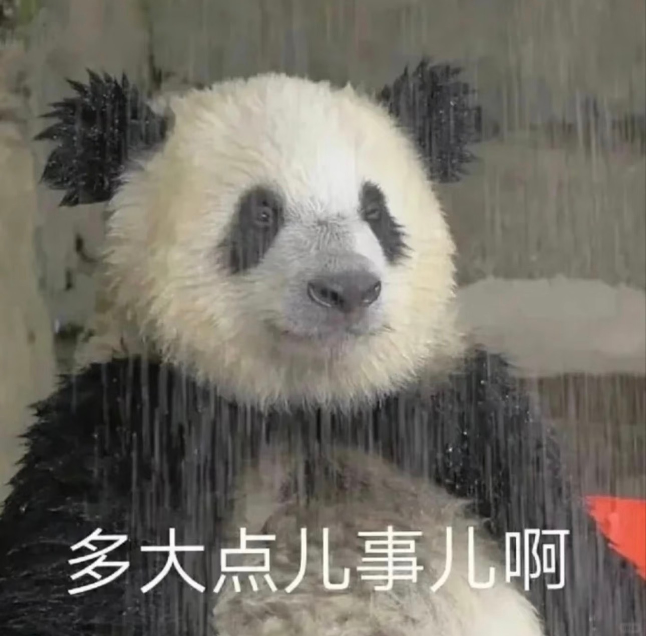 最近耗子烂的我怀疑人生，首页还刷的到我吗