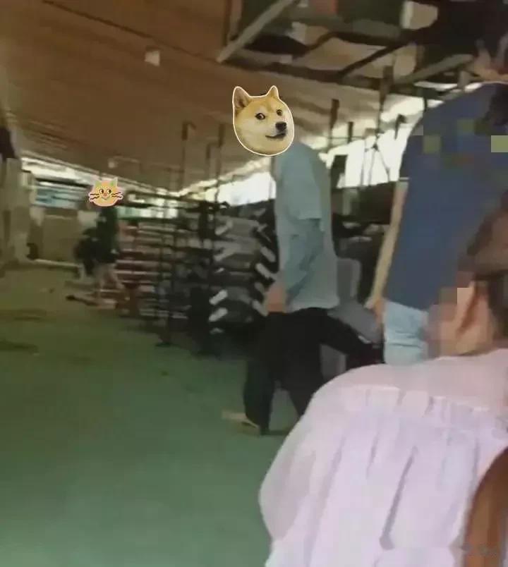 最近，一场不可思议的事件在某工厂频频上演。据可靠消息，女工们竟然轮流摸男工的私处