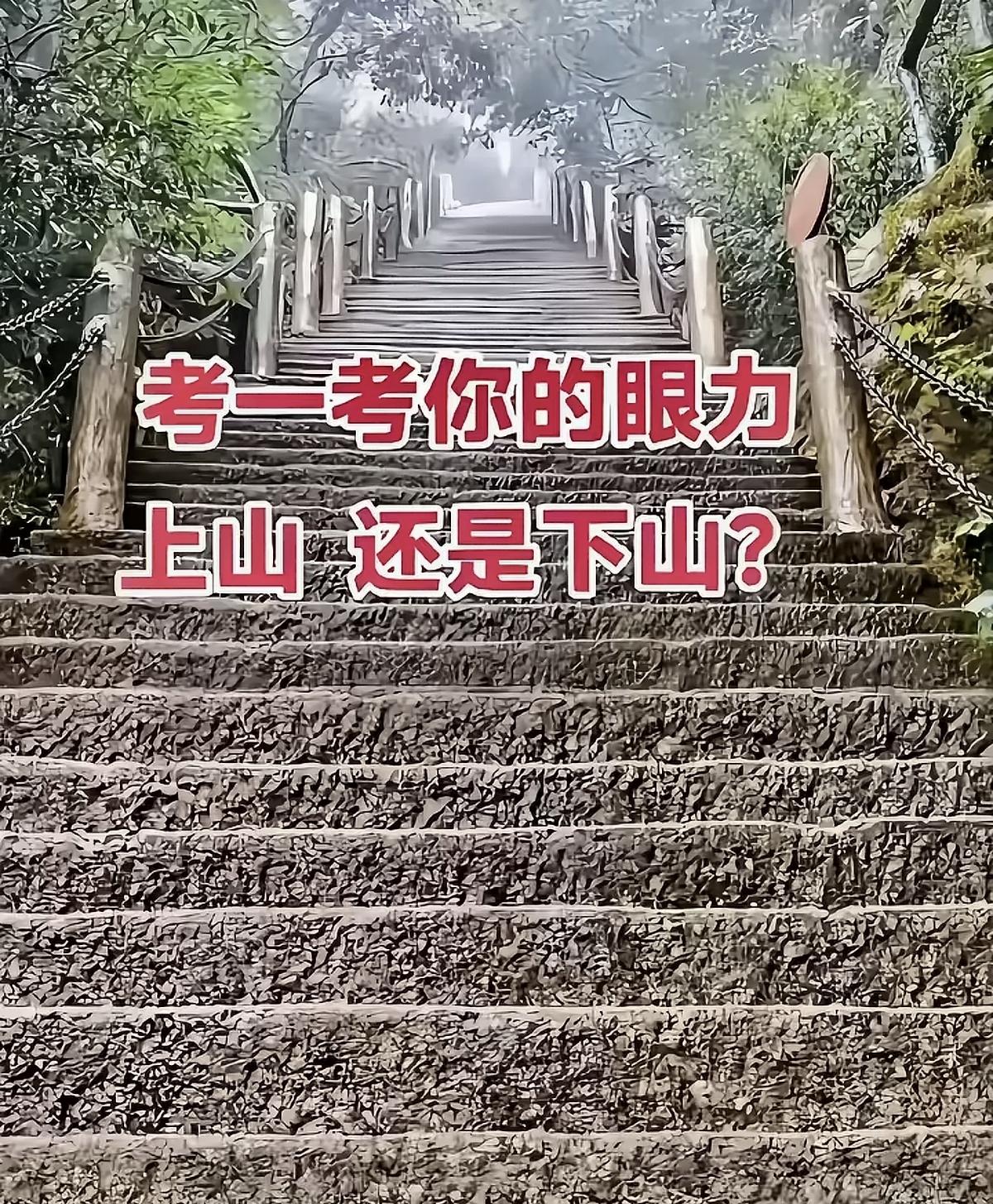 在景区里游玩，如果看到这个场景，你认为这是上山，还是下山的照片？第一眼看过去，这