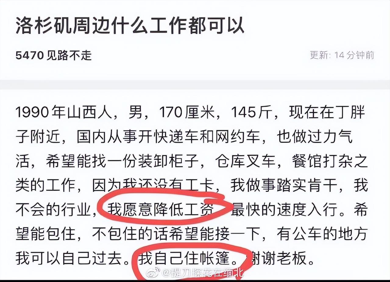 唉，这真是懂事得让人心疼啊，这低三下四苦苦哀求一个打工机会的态度，硬是能把人看得