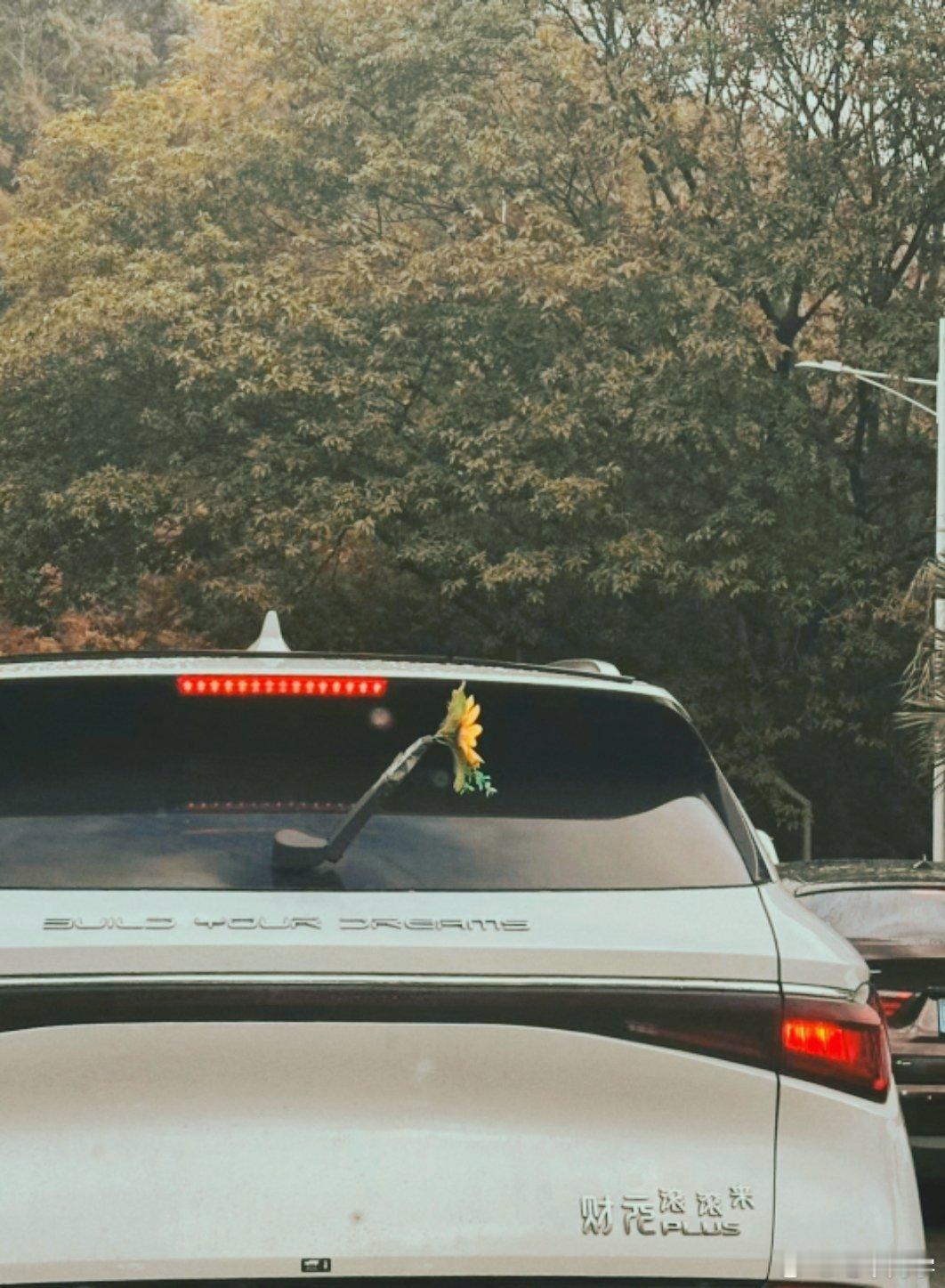 你看，祝福多落地，还挺可爱的。电车同学随便聊