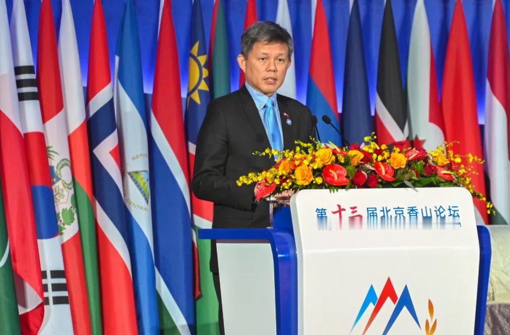 新加坡防长陈振声最近在香山论坛上还用流利中文谈“以德服人”，转头就改口了：新加坡