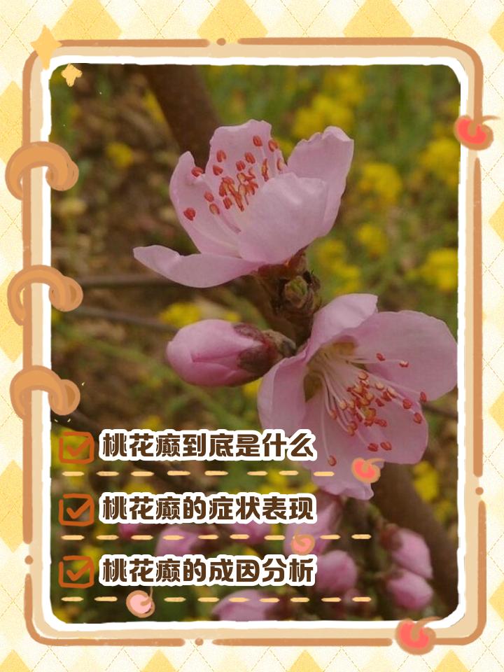 春季频现“桃花癫”，是恋爱冲动还是精神疾病信号？
近日，江苏一名20多岁的女大学