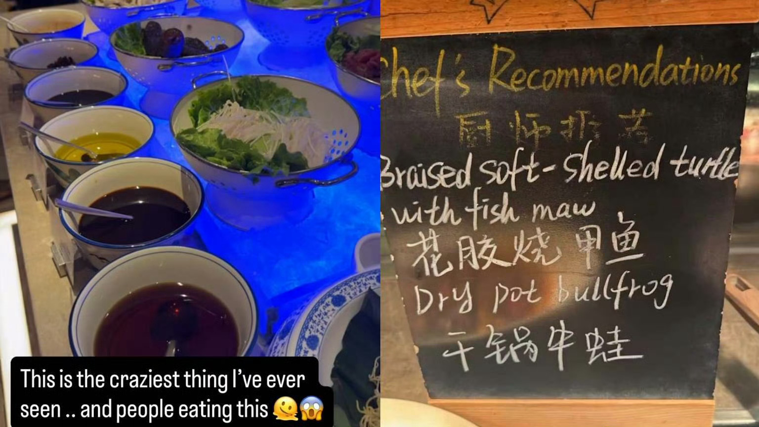 你扫射攻击中国菜和所有中国人，那我就只能攻击你的长相了 [哼]PS：道歉也没用，