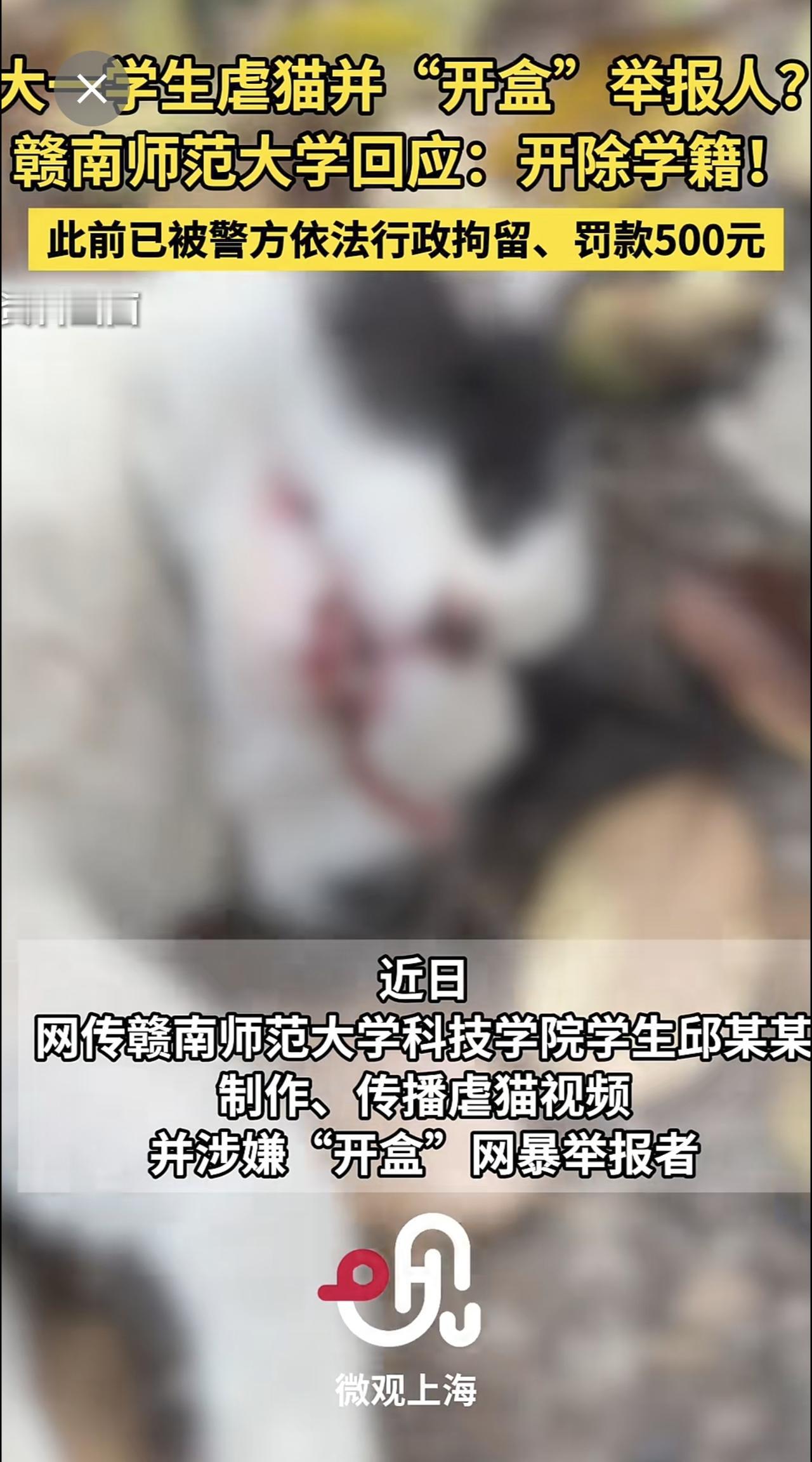 大一学生 虐猫 并“开盒 ”举报人？赣南师范大学 回应：开除学籍！ 此前已被警方