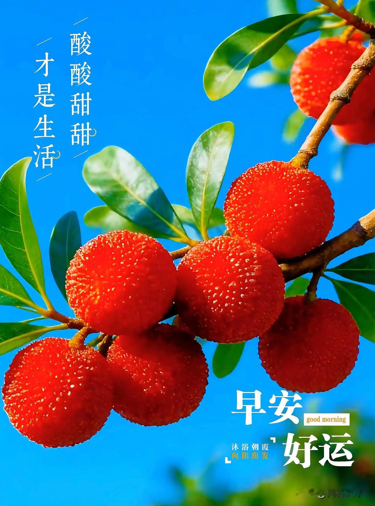 不必追赶别人的脚步，守好自己的节奏就好。平安健康，便是人间最好的馈赠，早安。