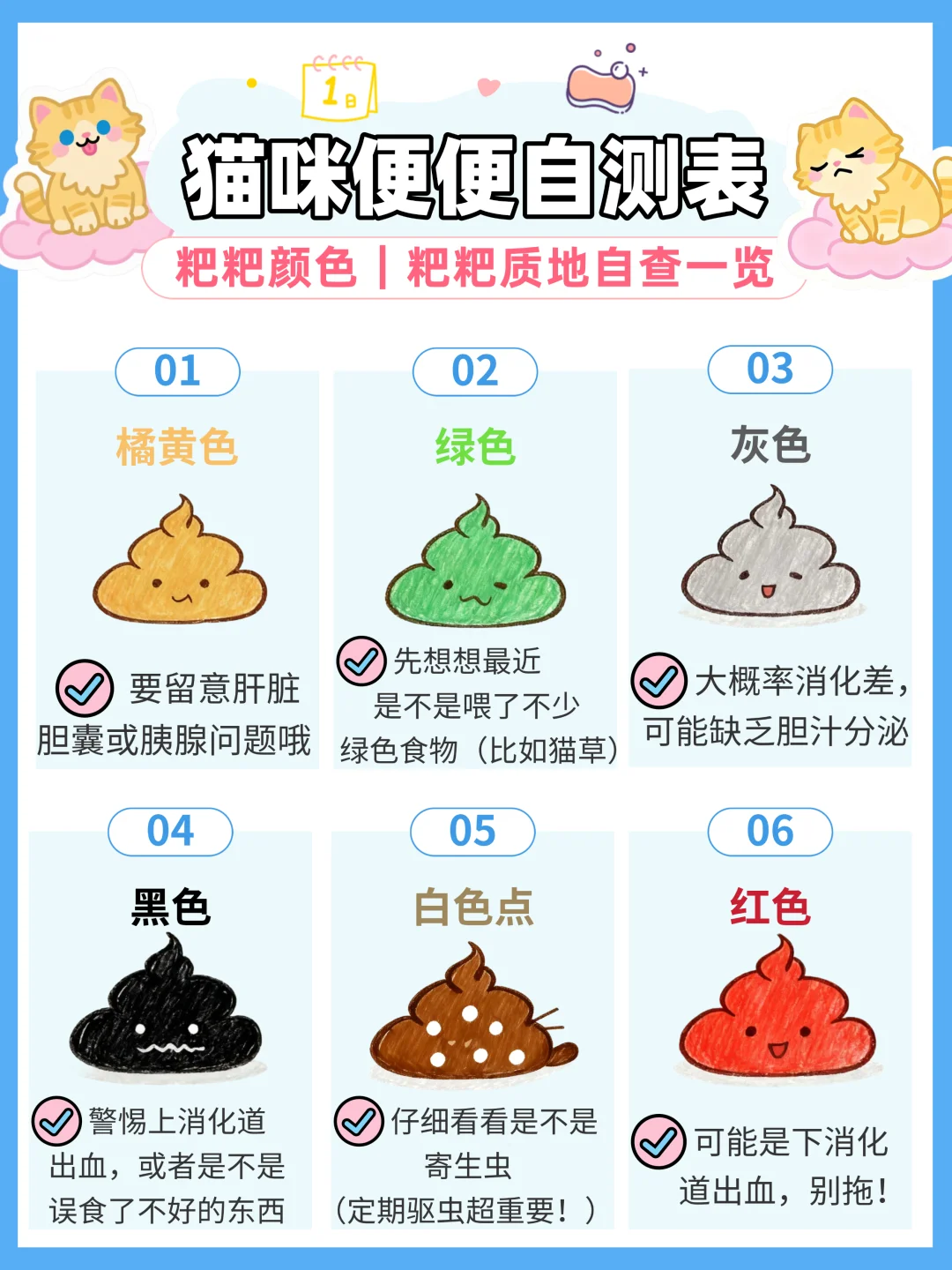 猫咪软便别慌！自测+调理 拒绝盲目养猫！