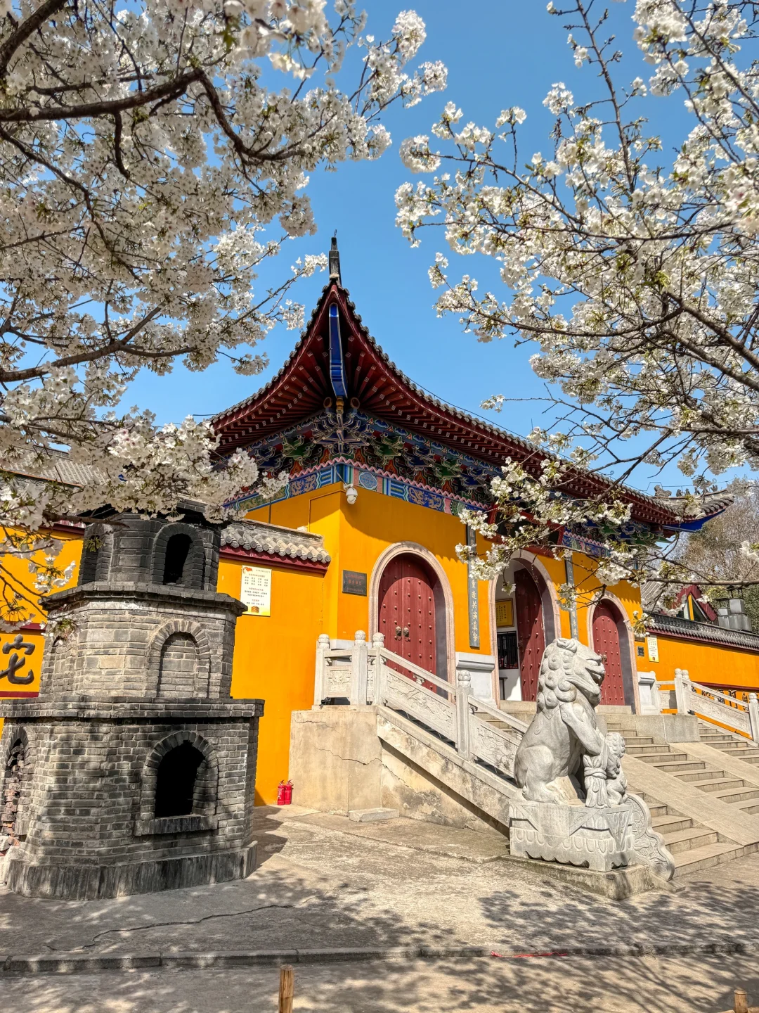 武汉被严重低估的山寺樱花！好有禅意