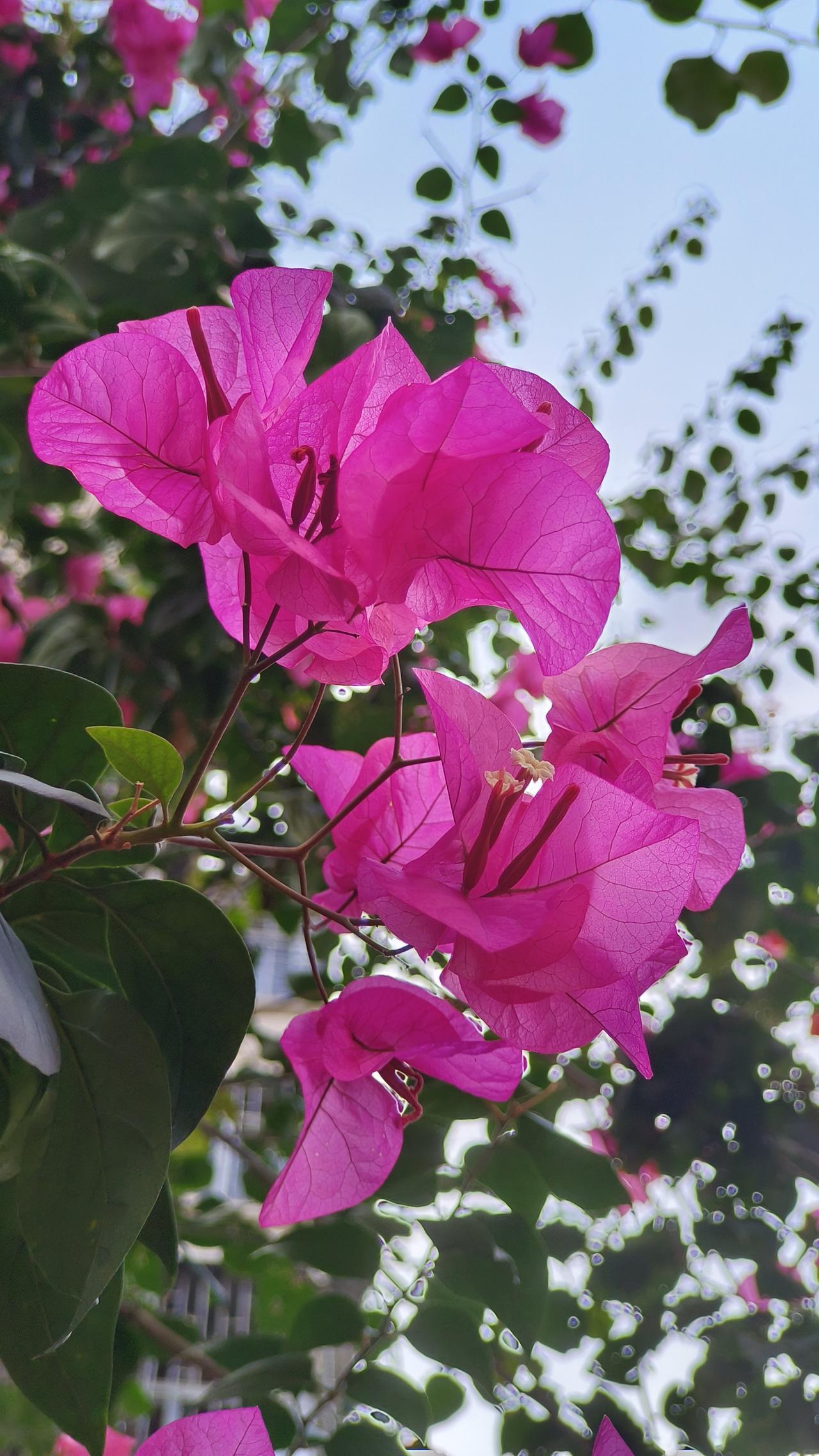 今天刷到一句，直接给我整破防了。

你学过的东西，早晚用得上。但你偷过的懒，也会