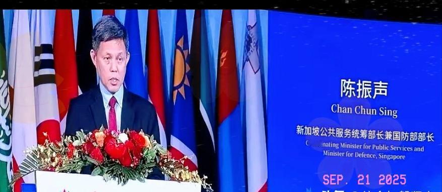 听完新加坡防长在北京说的那番话，我后背都忍不住冒凉气。

中美不撕破脸，新加坡是