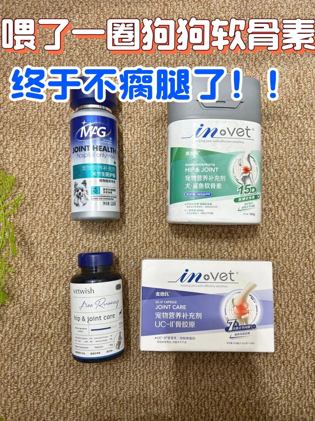 喂了一圈狗狗软骨素，终于不瘸腿了