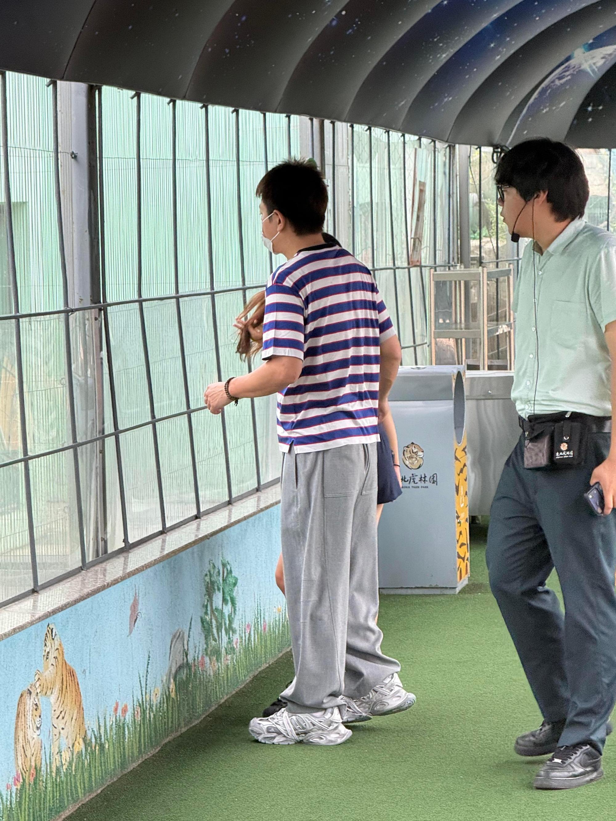 偶遇贾乃亮带甜馨逛东北虎林园偶遇贾乃亮带甜馨过暑假 暑期果然是溜娃带娃好时机贾乃