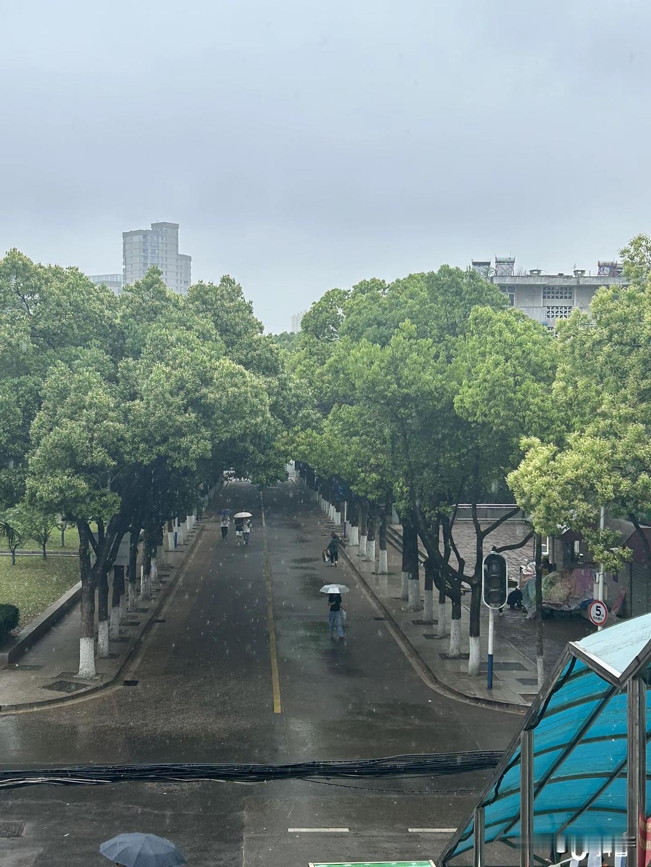 幸福就是，
1、健健康康，平平安安，身体是革命的本钱，有了健康的身体，才是幸福的