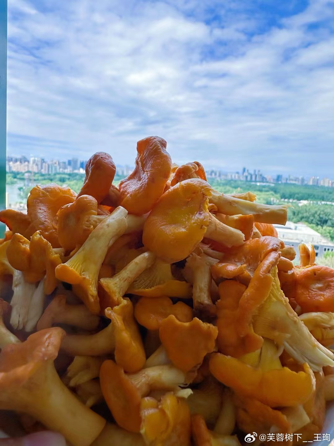 我们这些成年人该操心的事情，是在大学里的专业与快乐，工作上的选择与坚持，自己又赚