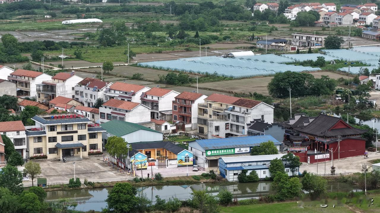 温情龙桥 敬老暖居——新洲龙桥村打造老年友好幸福家园
 
新洲龙桥村武汉市新洲区