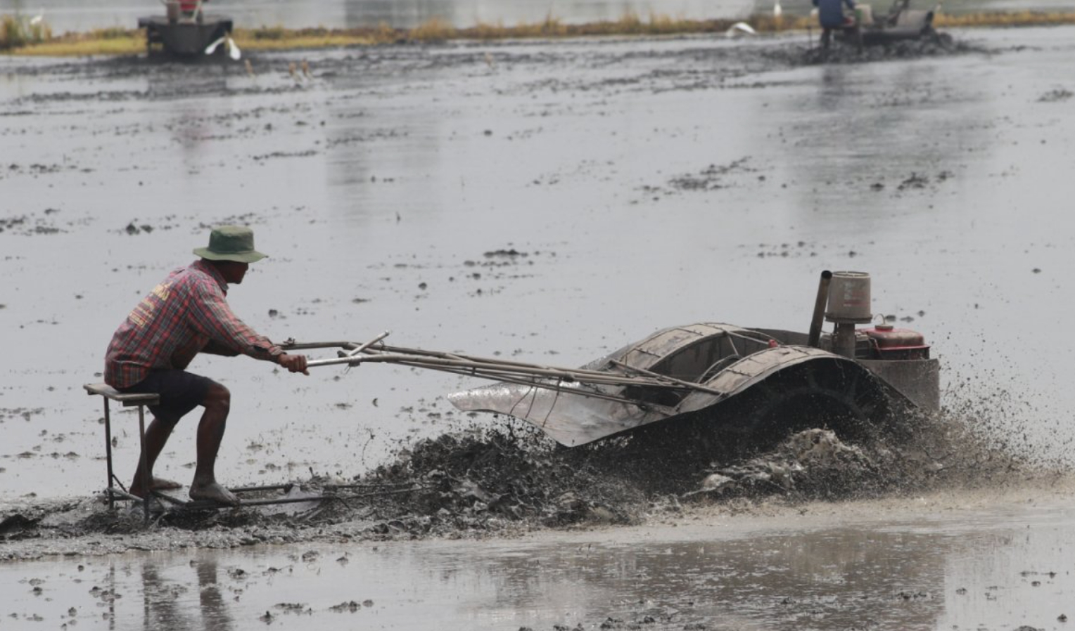 #泰国泥土病感染激增#【泰国“泥土病”感染显著增加：3个多月内23人死亡，50岁