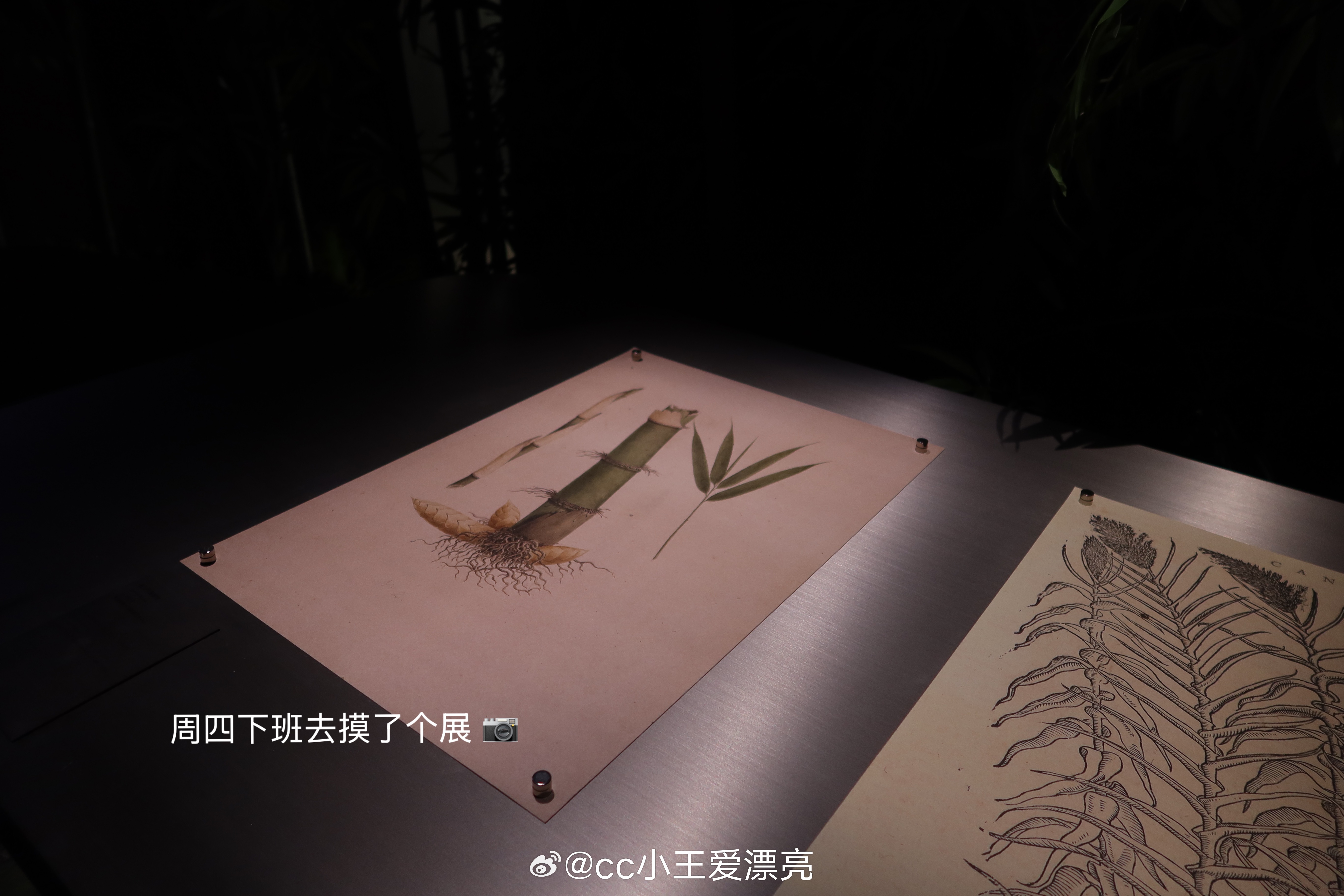 在紧张忙碌的工作之前💭 ​​​