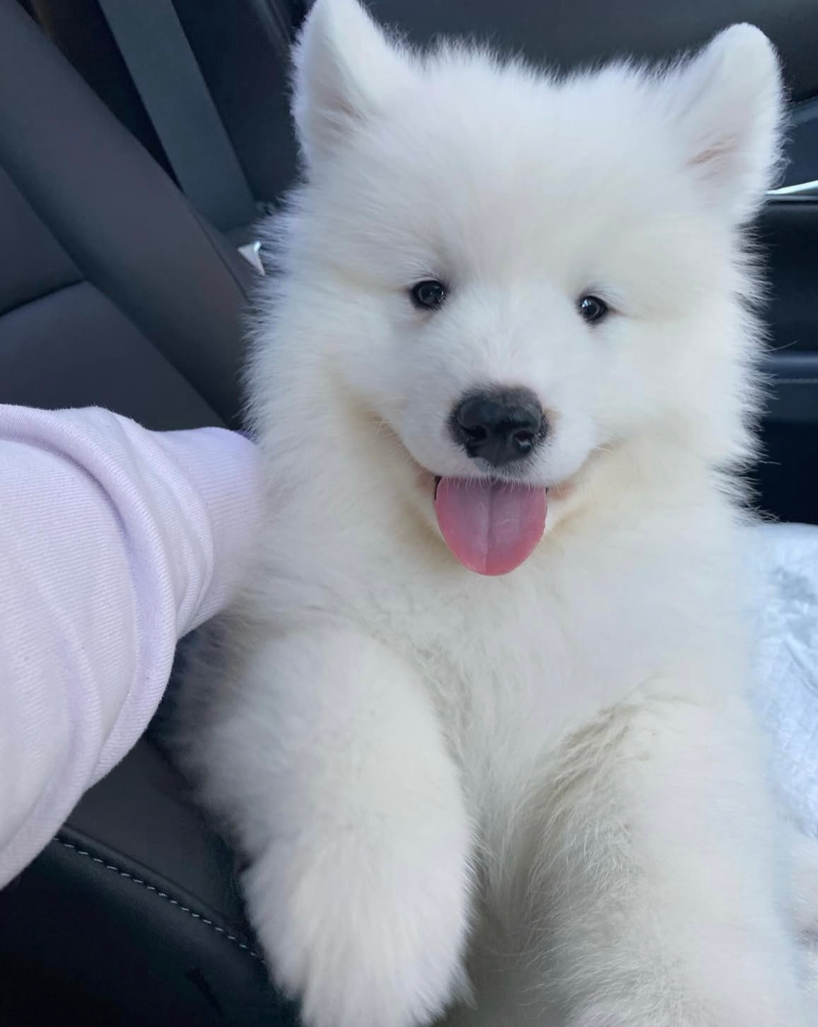 麻麻，你听我说，我今天被老师表扬了耶！ 