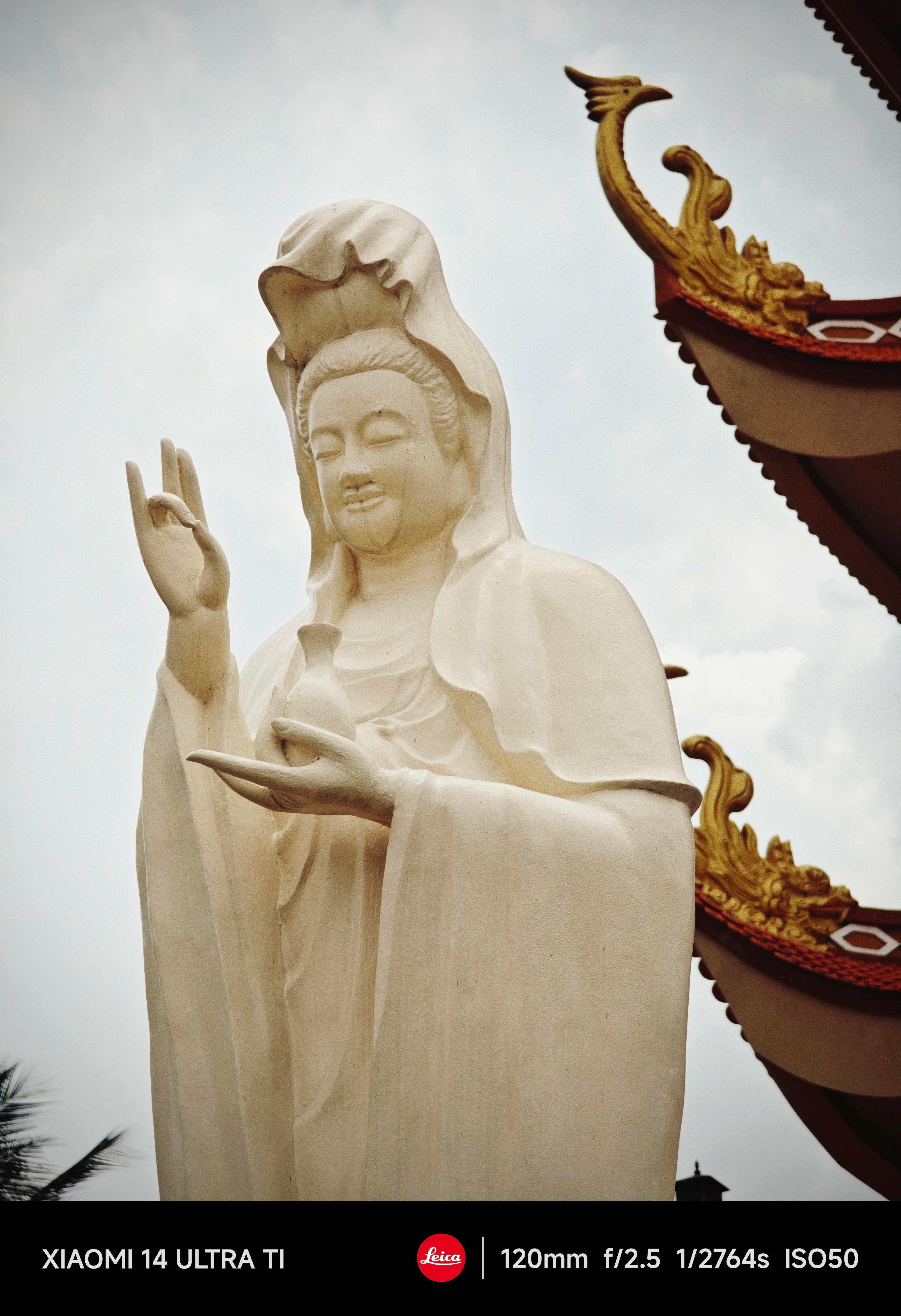 #每天早起打卡#早上好 ​​​