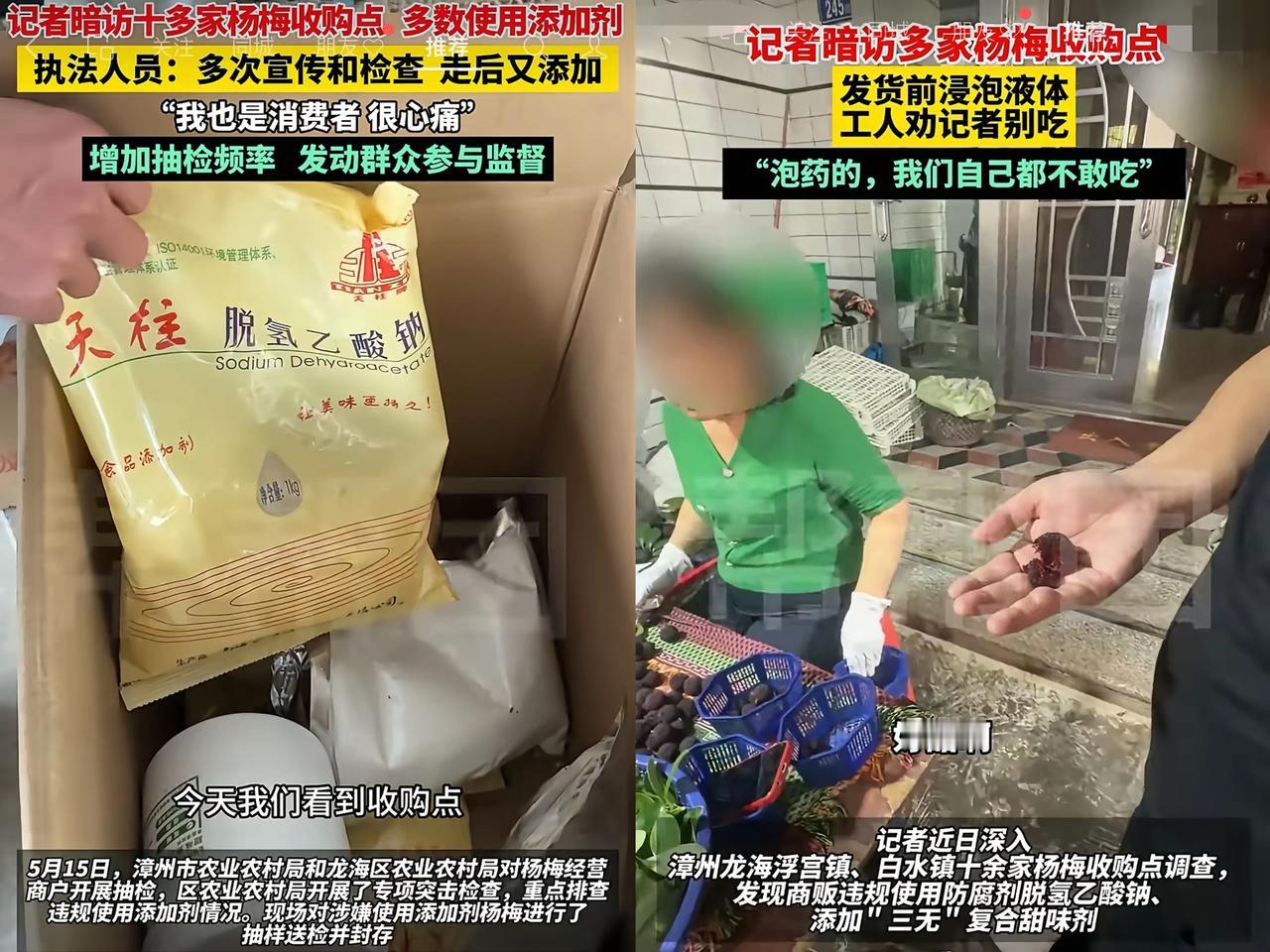 真的替老家种杨梅的舅舅寒心！勤勤恳恳守了一年果园，就盼着杨梅季挣点养家钱，结果龙