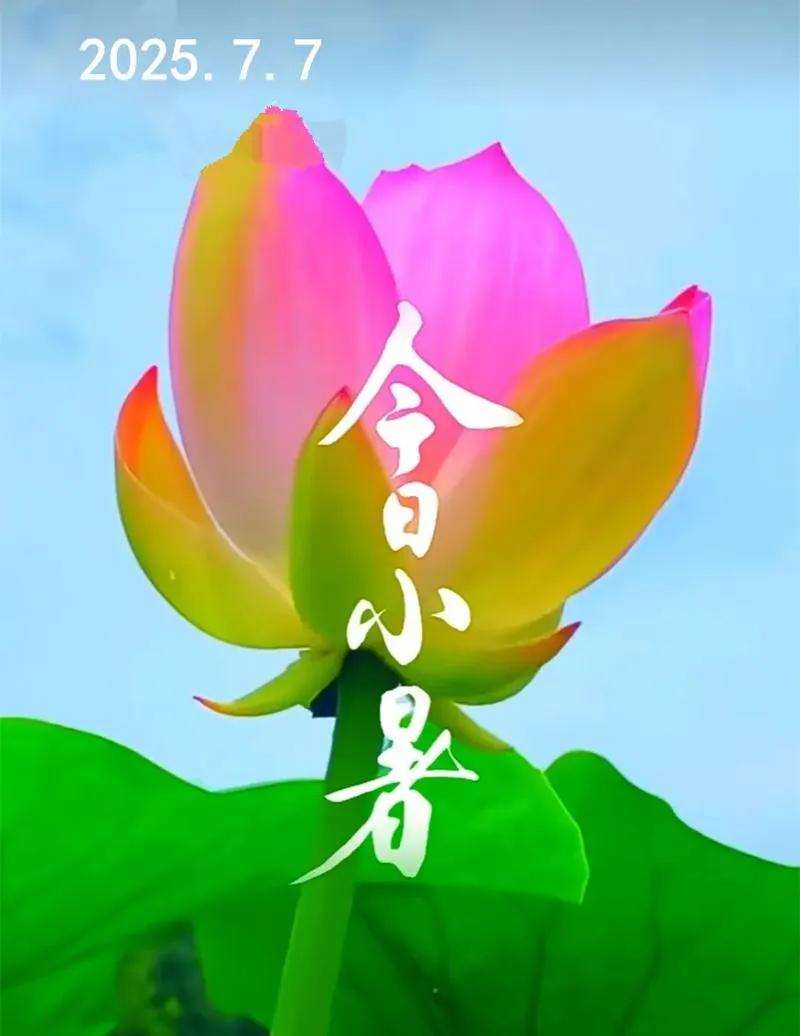 今日小暑节气：
  七月七日，小暑节气。
风动荷花香，小暑送吉祥。
高温酷暑热，