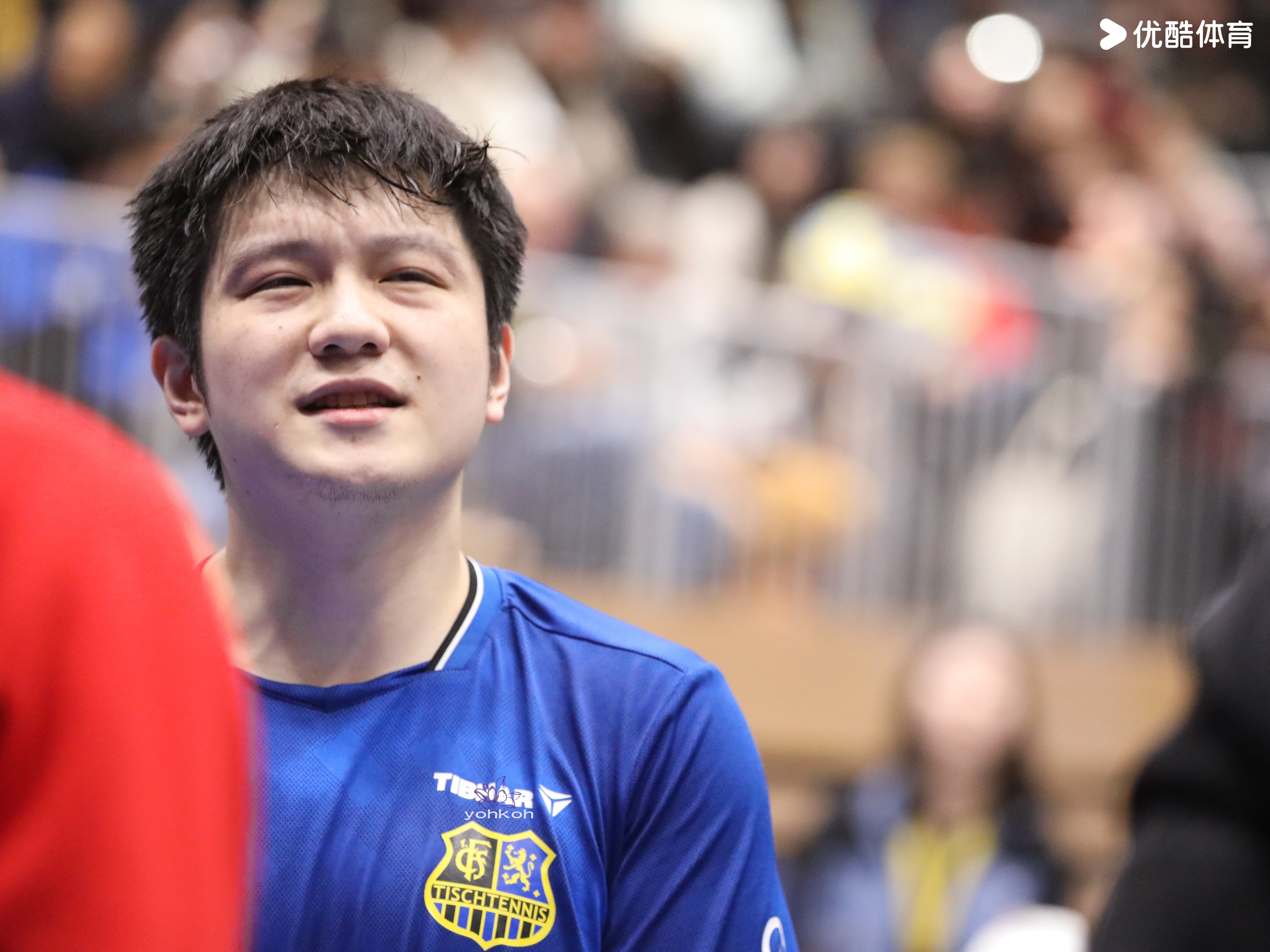 樊振东樊振东德甲 贪恋许多瞬间「20260215德甲乒乓球联赛」晚安💤 