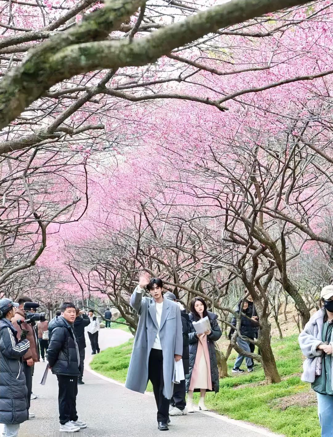 2025年爆款剧选角，演技好已经不够用了。
资深导演现在更看重演员间的化学反应。