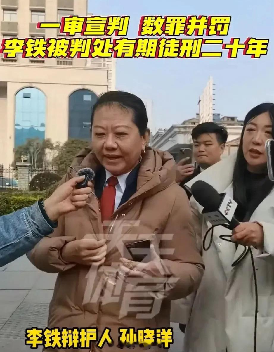 李铁尚未决定是否上诉  铁子辩护律师孙晓洋一战成名，铁子涉案金额高达1亿多，只判