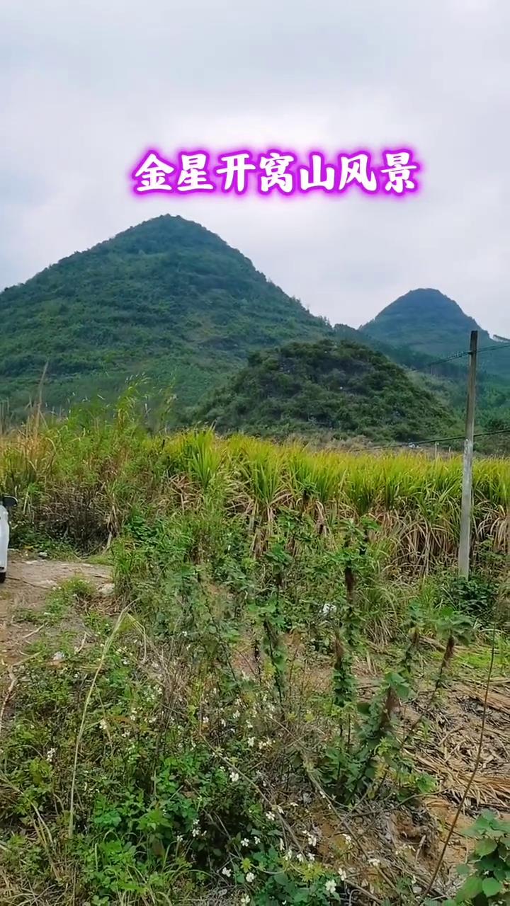 金星开窝山风景。