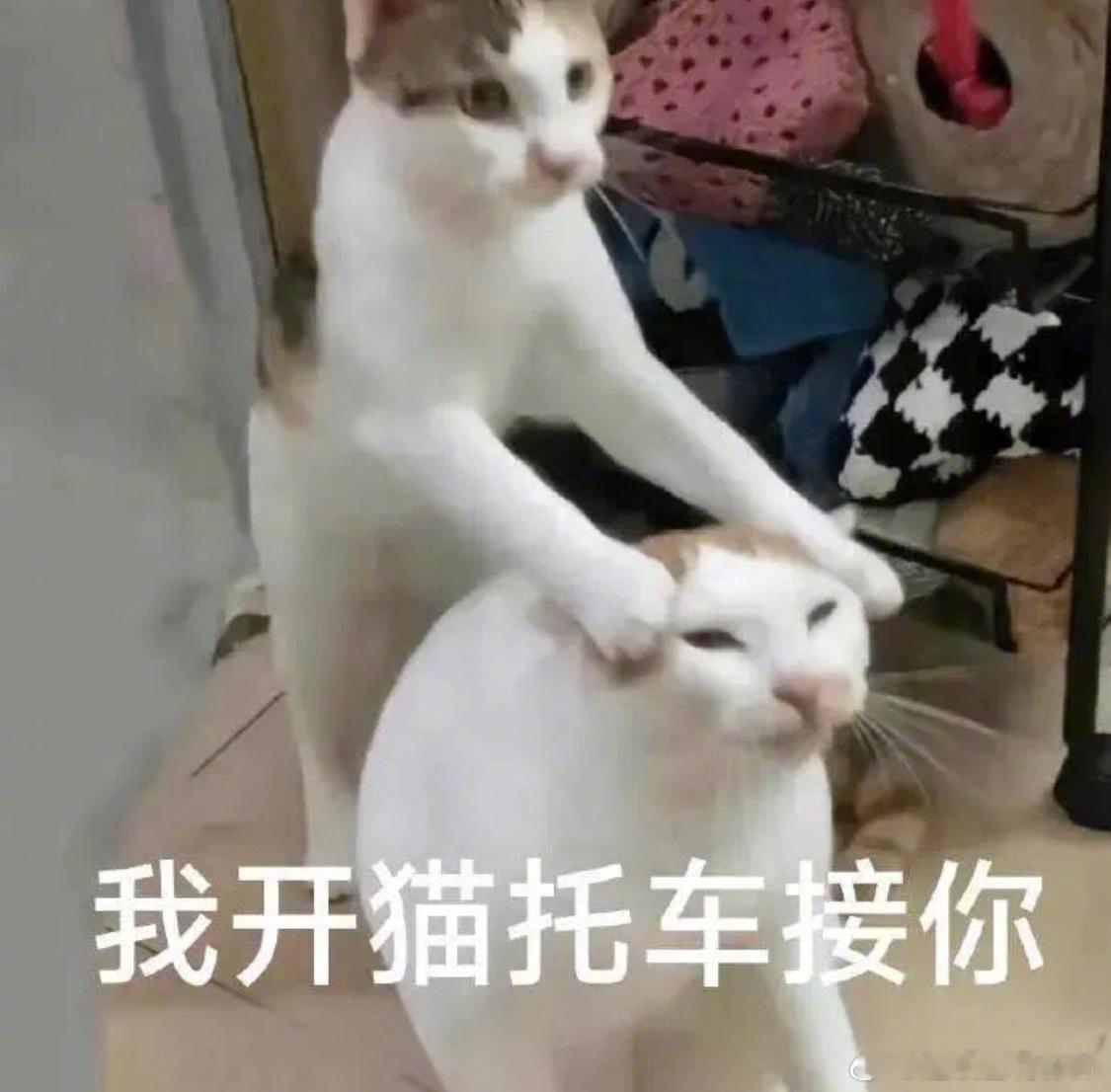 男子断言电车十年后被淘汰直接放言电车十年后被淘汰，观点足够博眼球。不可否认电车现
