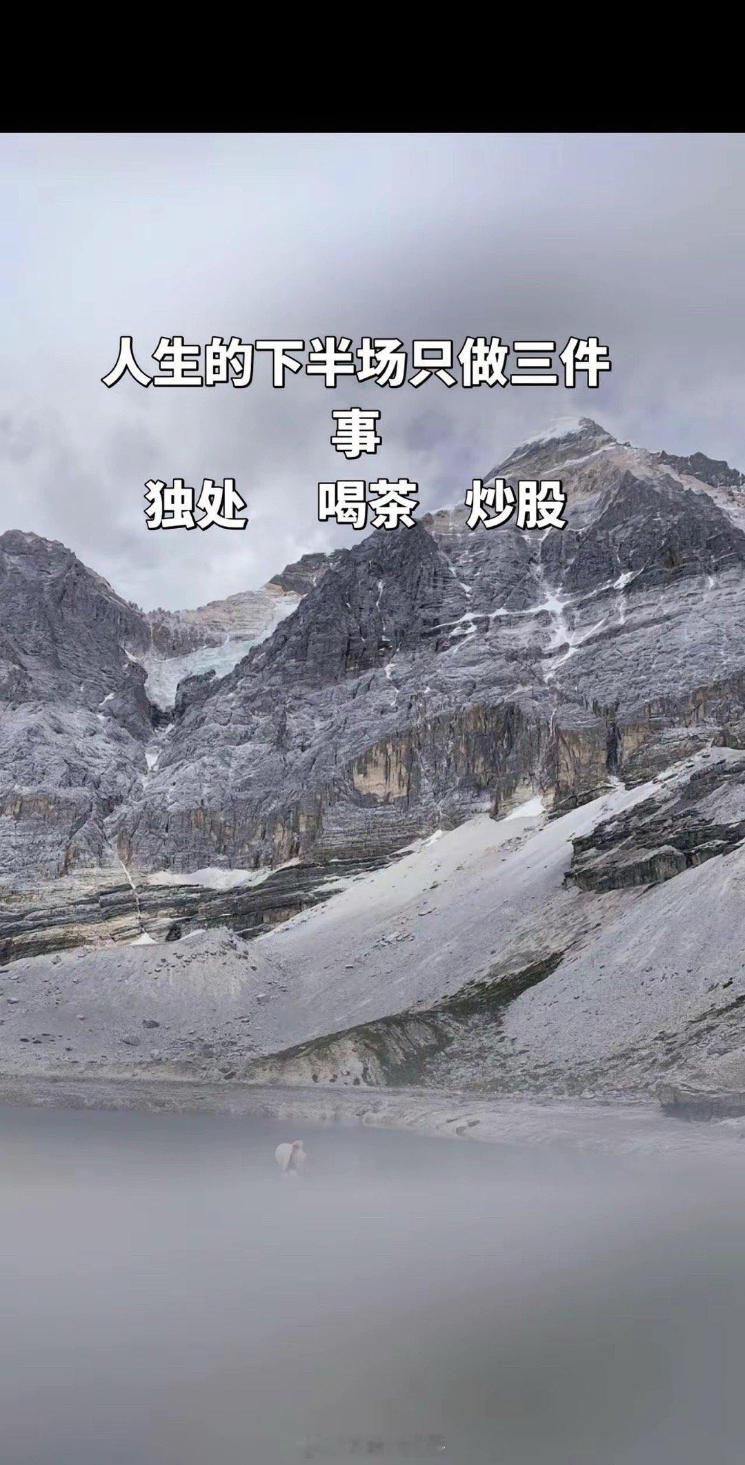 人生下半场只做三件事：独处   喝茶   炒股 