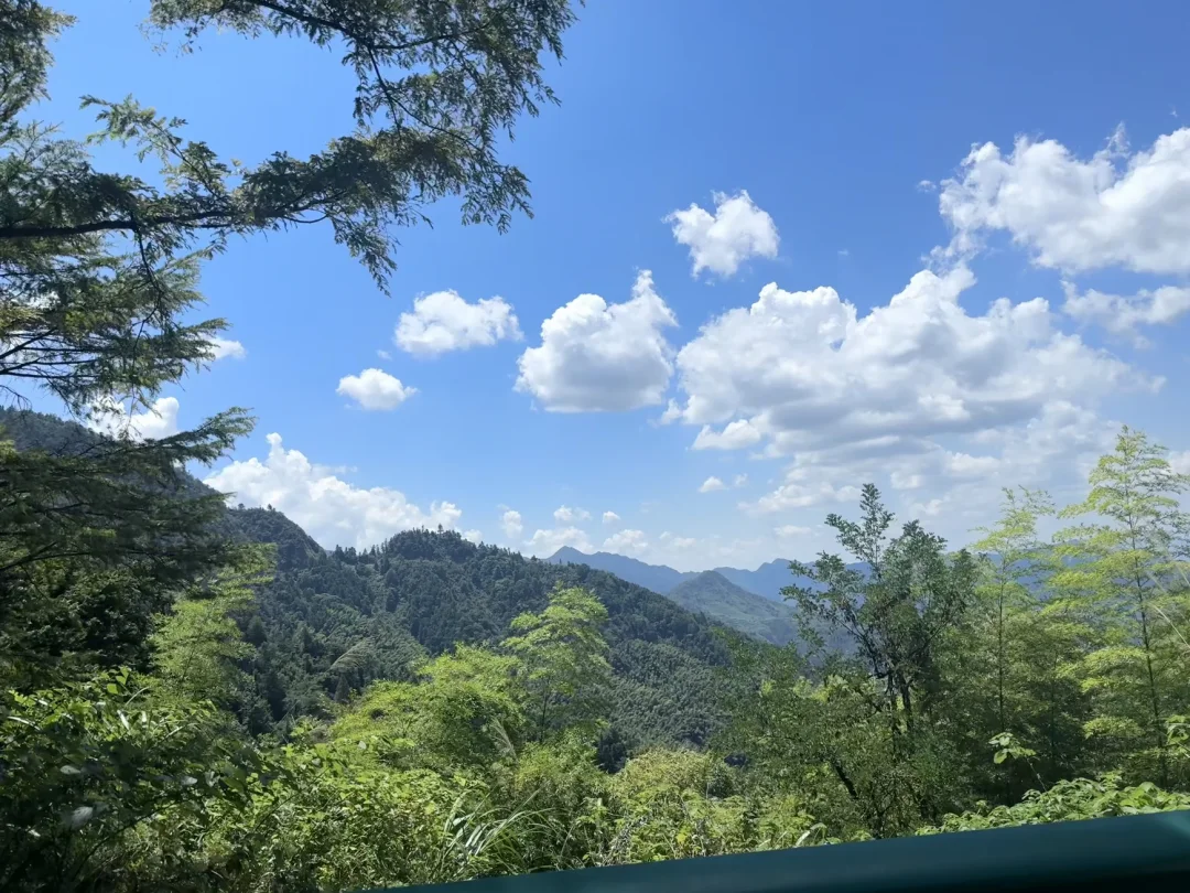 山里都是好风光 大山里的自然风景