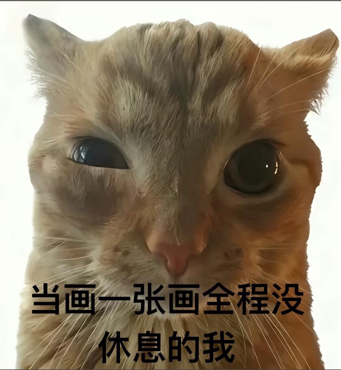 绷带都会画吧。