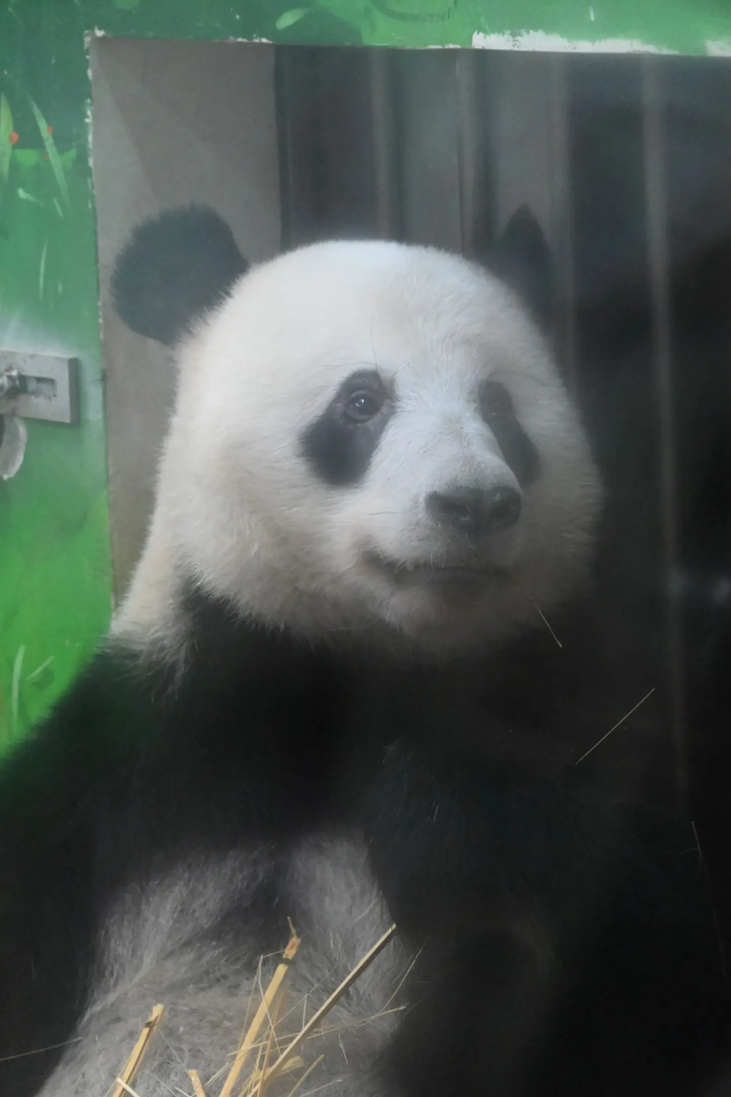 排了一天都不一定能看到正脸。认识的猫粉，昨天7点多开始在广动门口排队给...