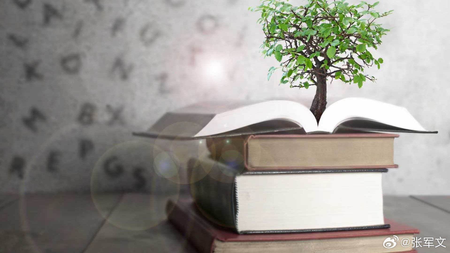 读书可以让人生变得更辽阔我的私人宝藏书单书评 刚读完《平凡的世界》，路遥笔下那些