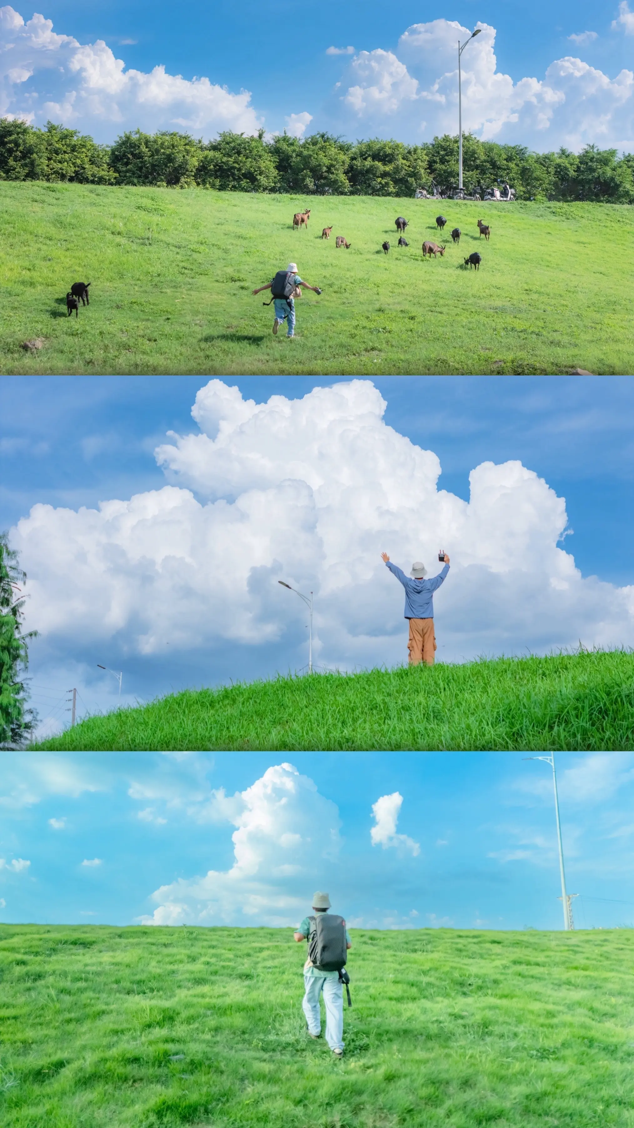 闯入宫崎骏的夏日绿境。📍地址&交通 地址：顺德区乐从镇平步村（近东平...